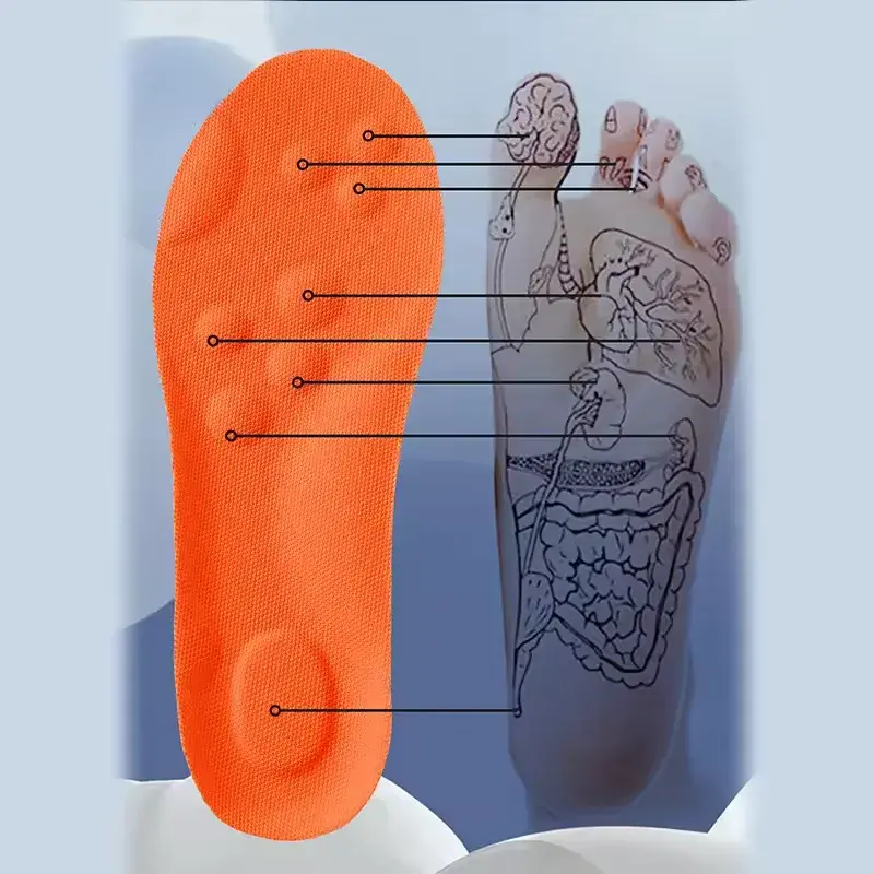 FLOATR anatomy